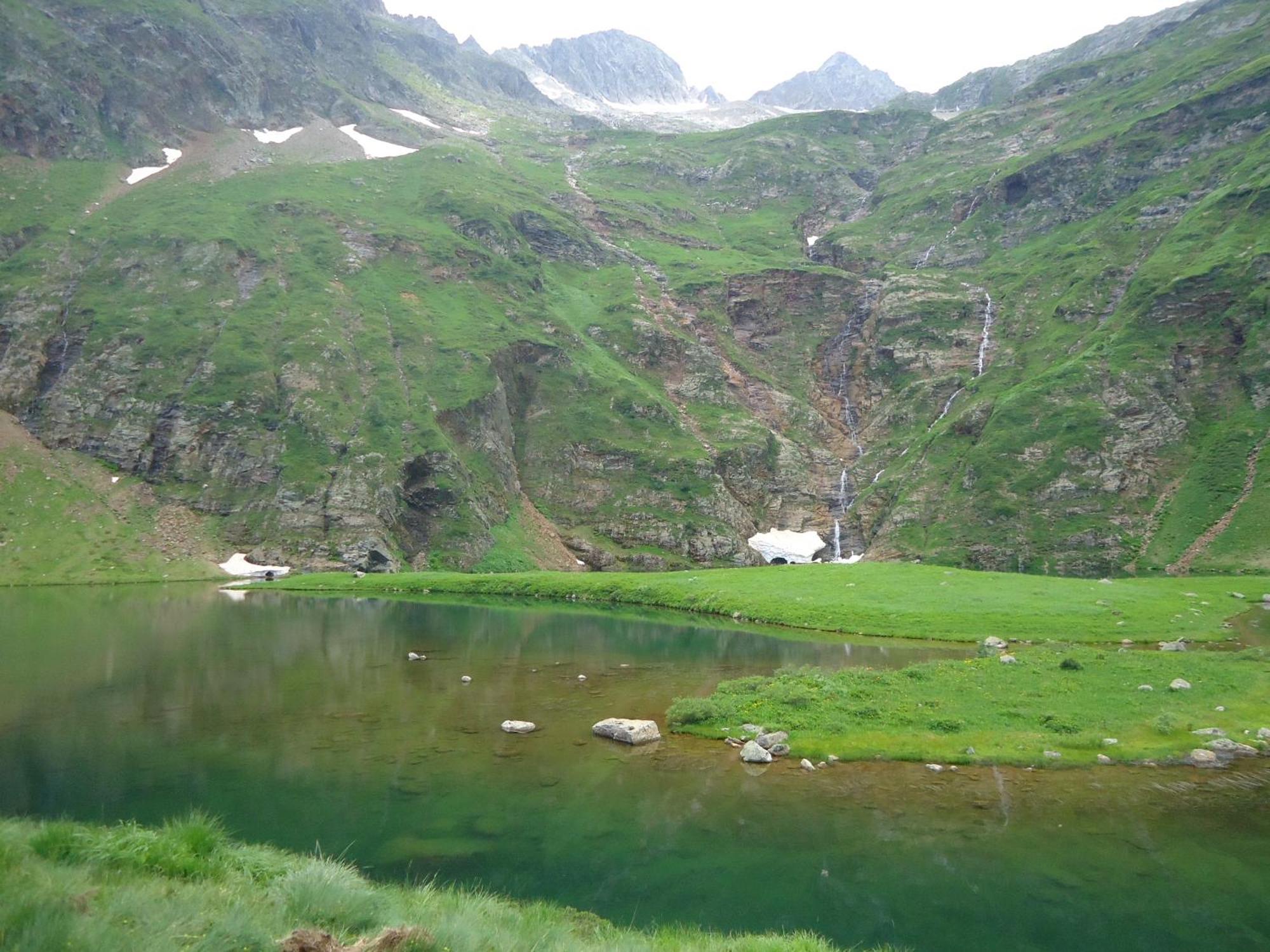 Pyrenees - Grand De Caractere * Boutx