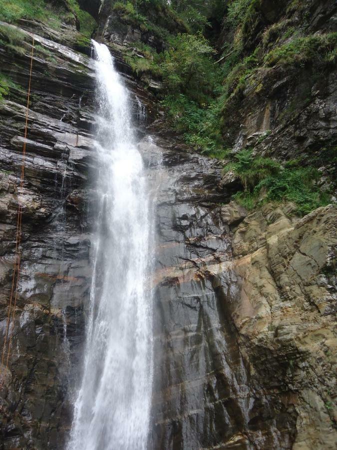 Pyrenees - Grand De Caractere * Boutx