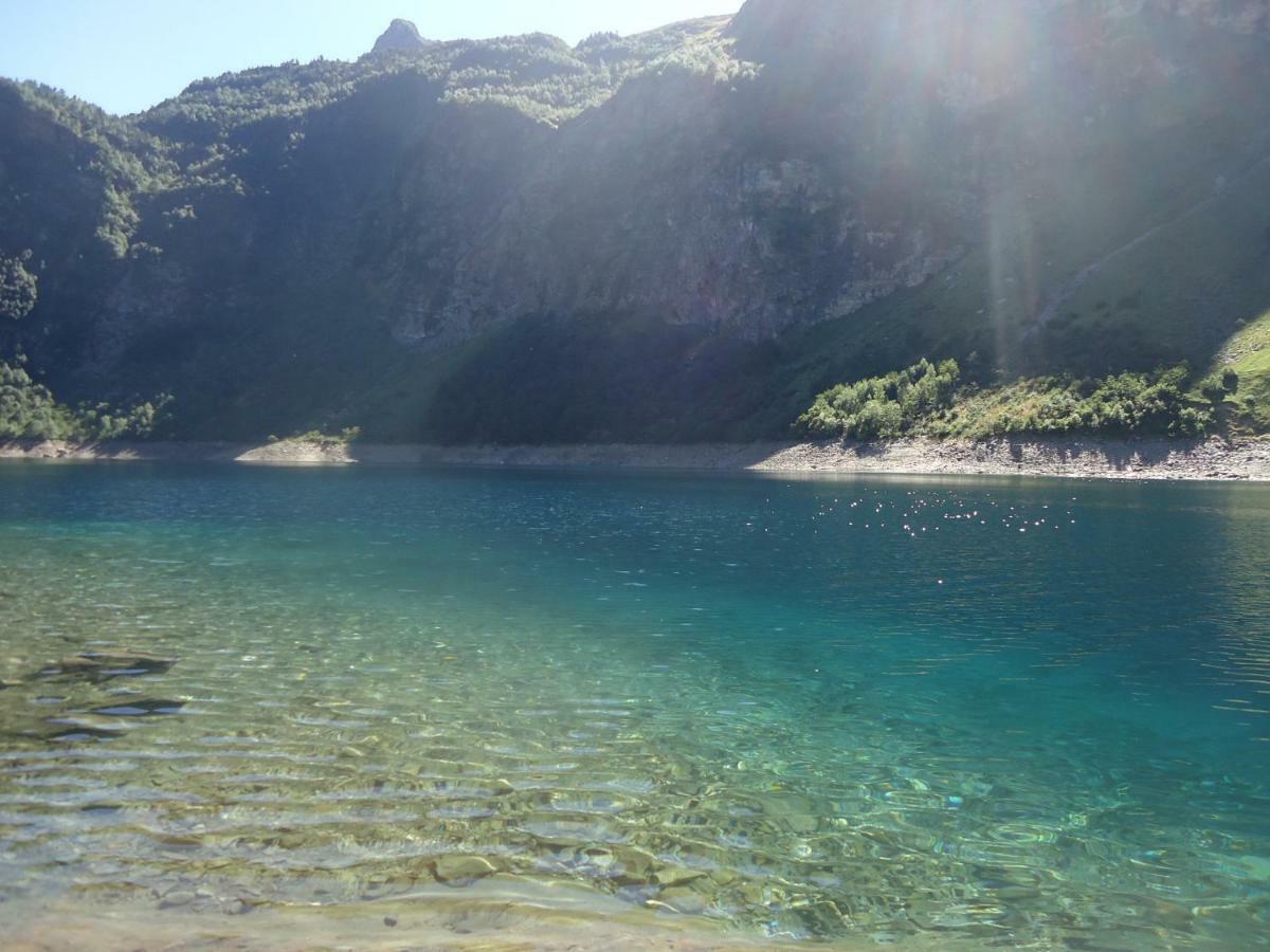 Pyrenees - Grand De Caractere *
